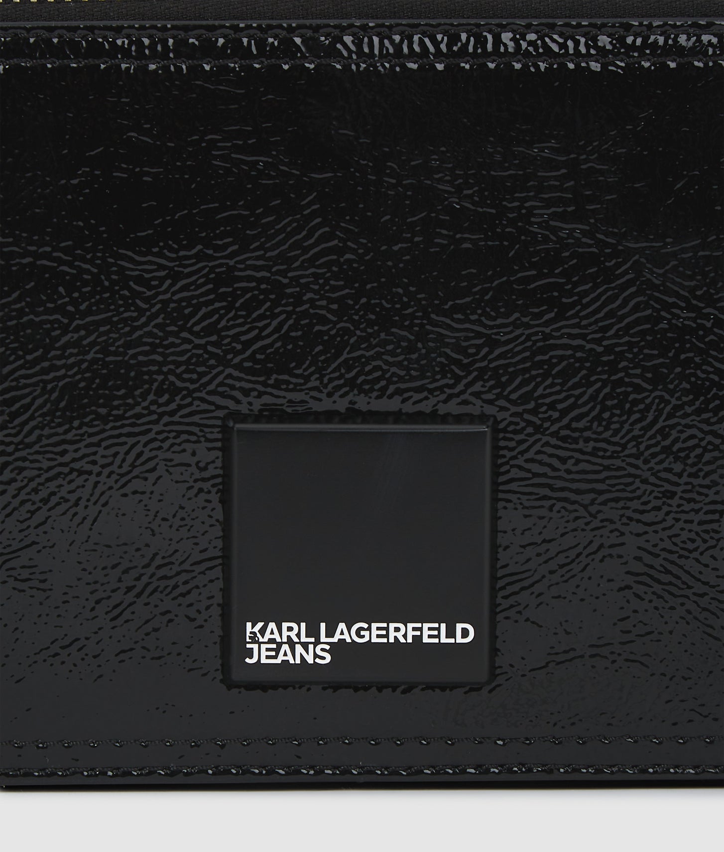 Glossy camera bag